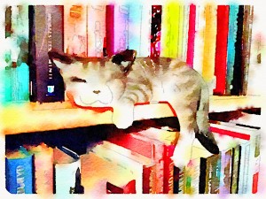 Book-cat