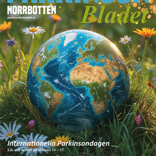 Bladet nr. 2/2025
